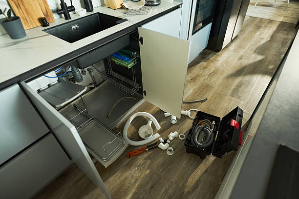 Reliable Leak Detection contractor in De Soto, IL by Street Wise - Plumbing